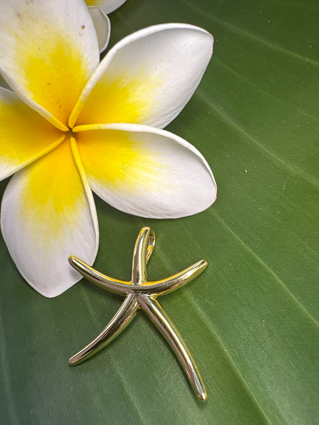 Gold Starfish Medium Pendant