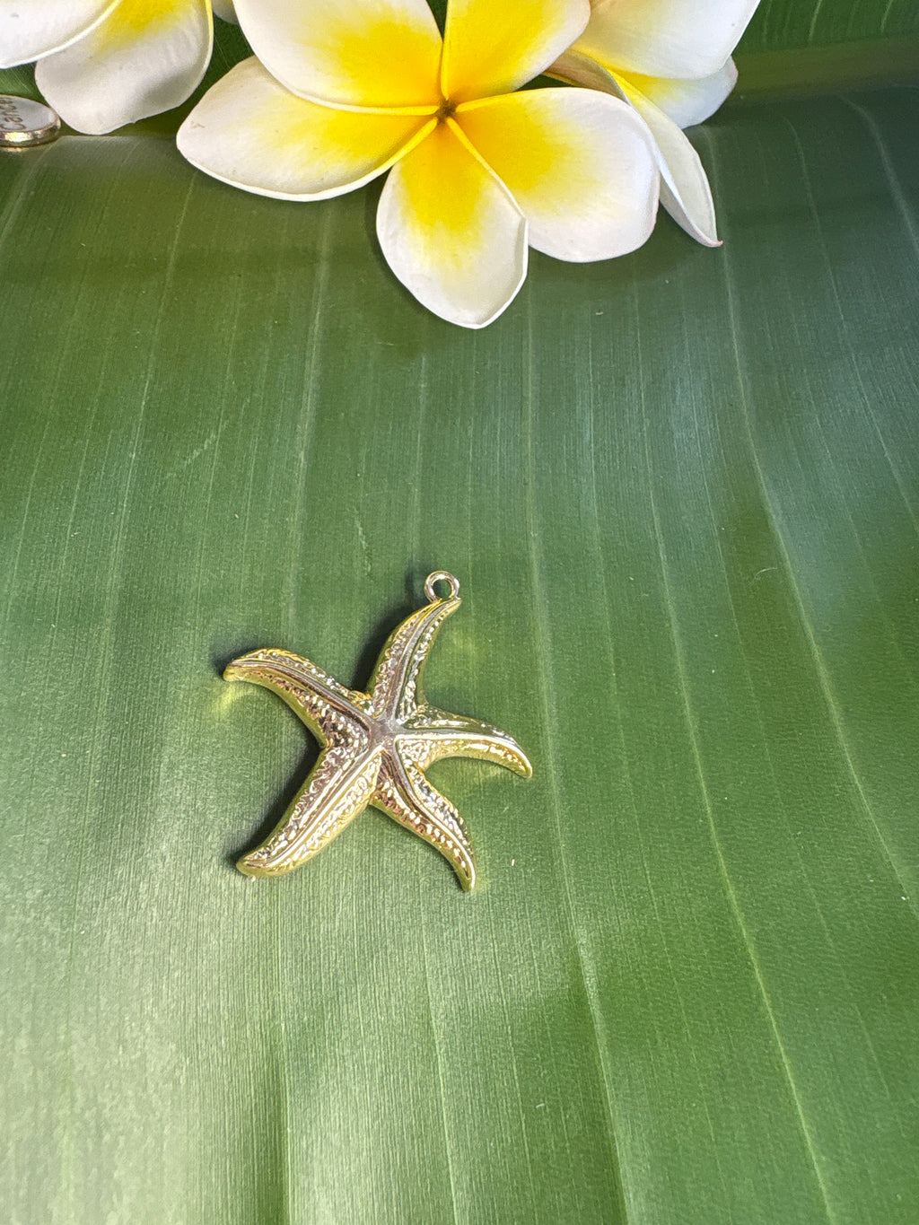 Silver Starfish Medium Pendant