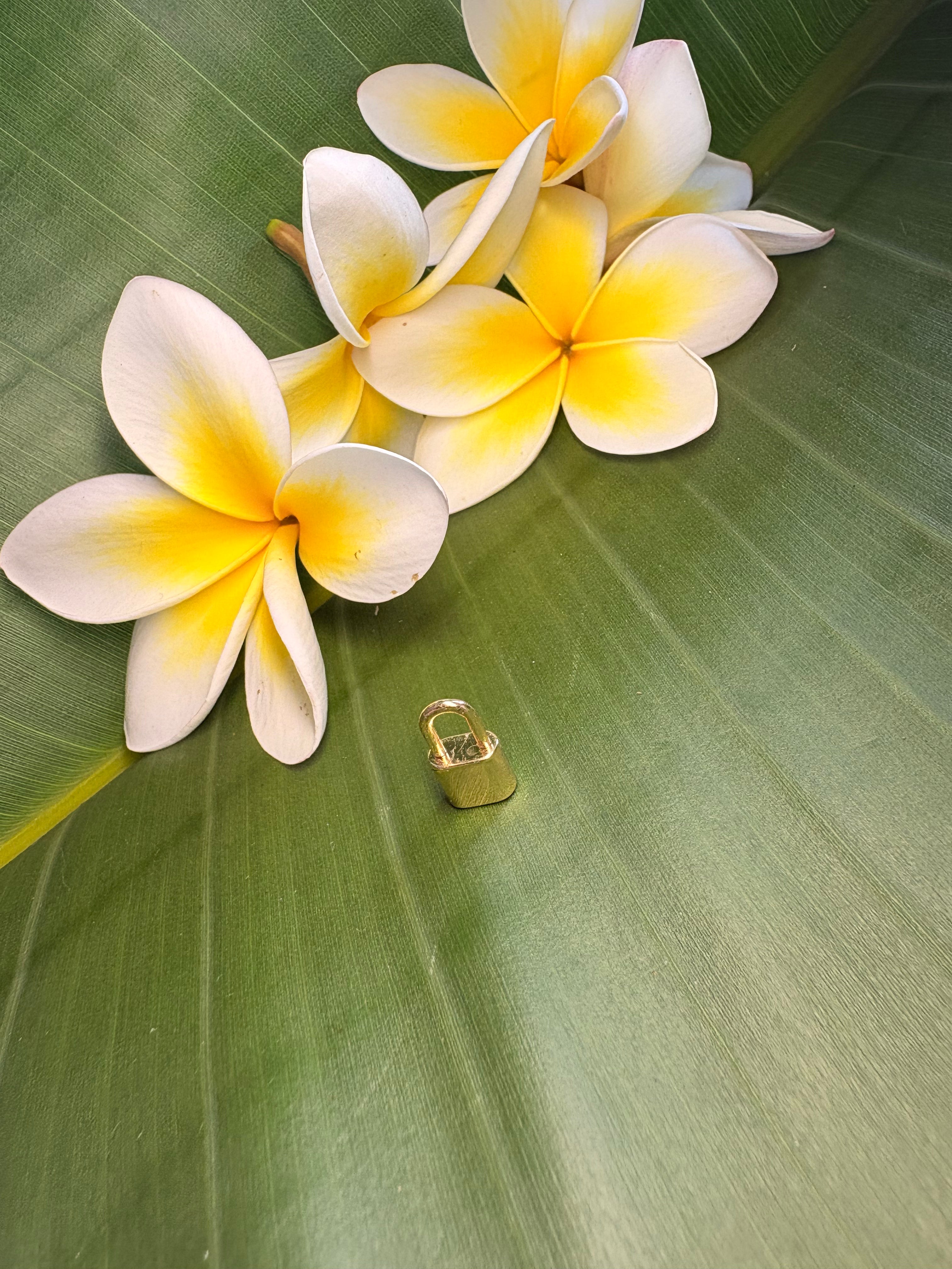 Small Padlock Charm
