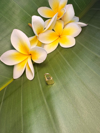 Small Padlock Charm